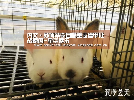 内文·苏博蒂奇自曝重返德甲征战原因-星空娱乐(图2) 星空体育